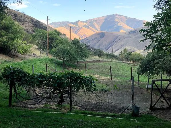 367 Seven Devils Rd, Riggins, ID 83549