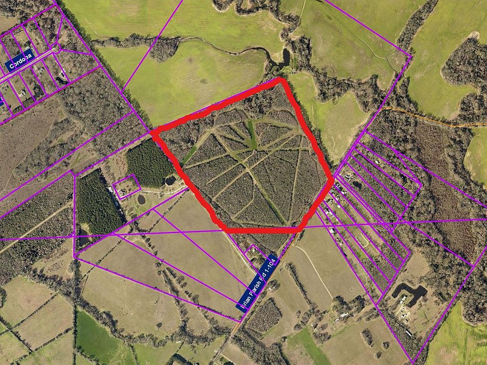 1st image of Brian Rd