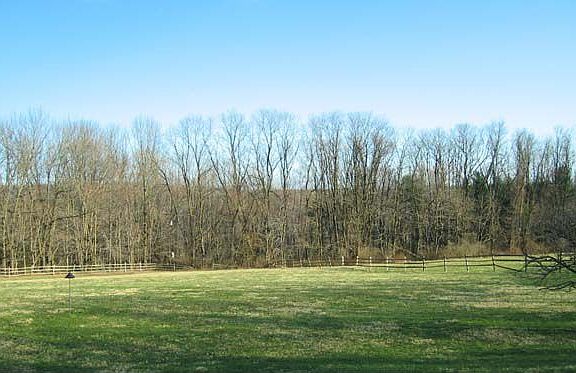View from porch and living room