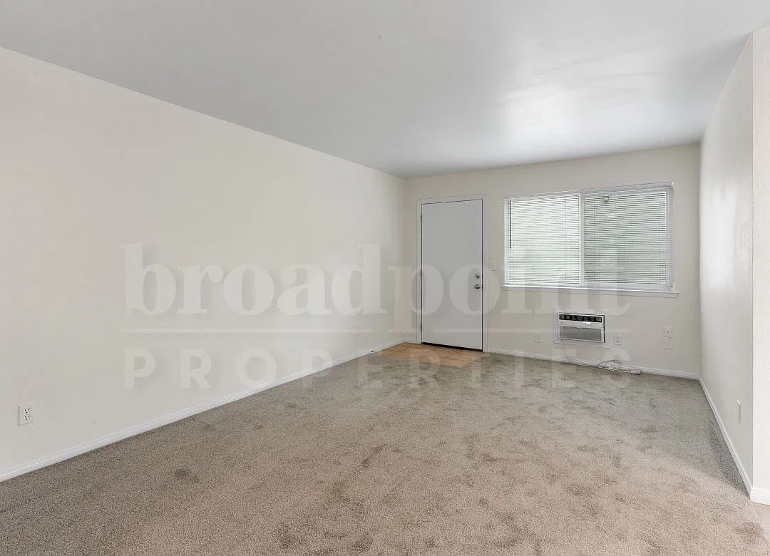 339 W 15th Ave — Photo 4