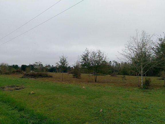 IMAG2601