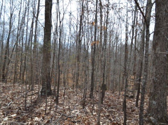 5th image of 87/AC Boles Rd