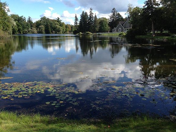 View of Mill Pond from front room