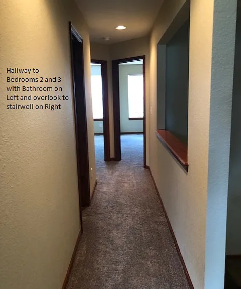 110 Silver Leaf Ln — Photo 20