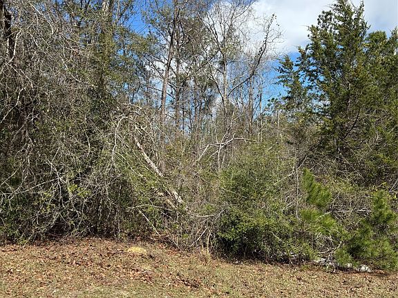 4th image of 35729 Hesters Store Rd