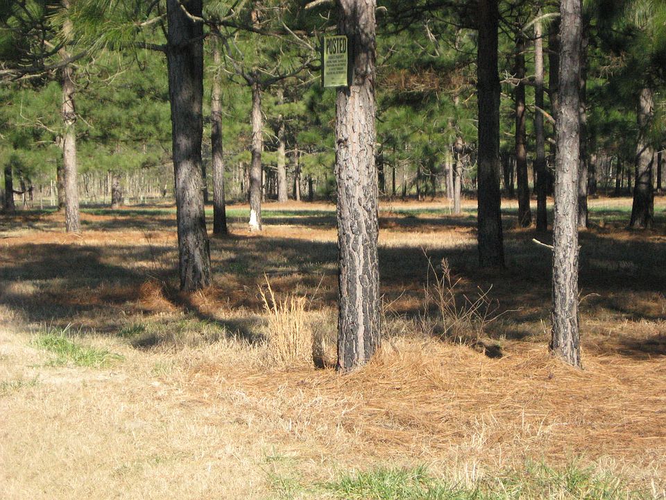 2nd image of Merrie Oaks Ln Lot 2