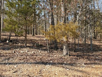 000 Lot 100 Summer Breeze Lane, Kimberling City, MO, 65686