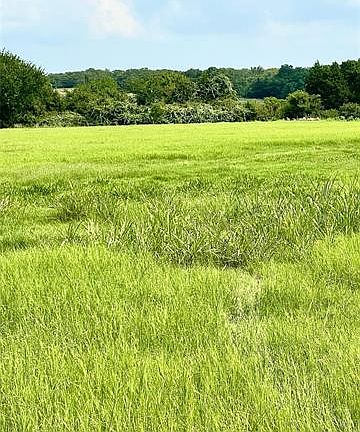2nd image of 3295 N Fm 1655