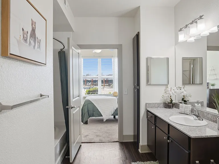 Bathroom | Apartments for rent in Waco, TX | Domain at Waco