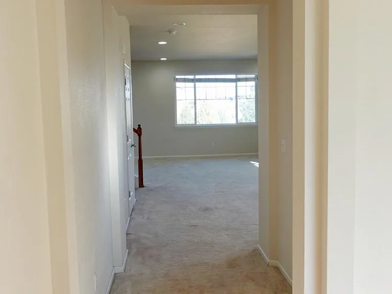 1073 White Leaf Cir — Photo 29