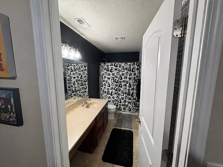 11104 Remembrance Ln — Photo 20