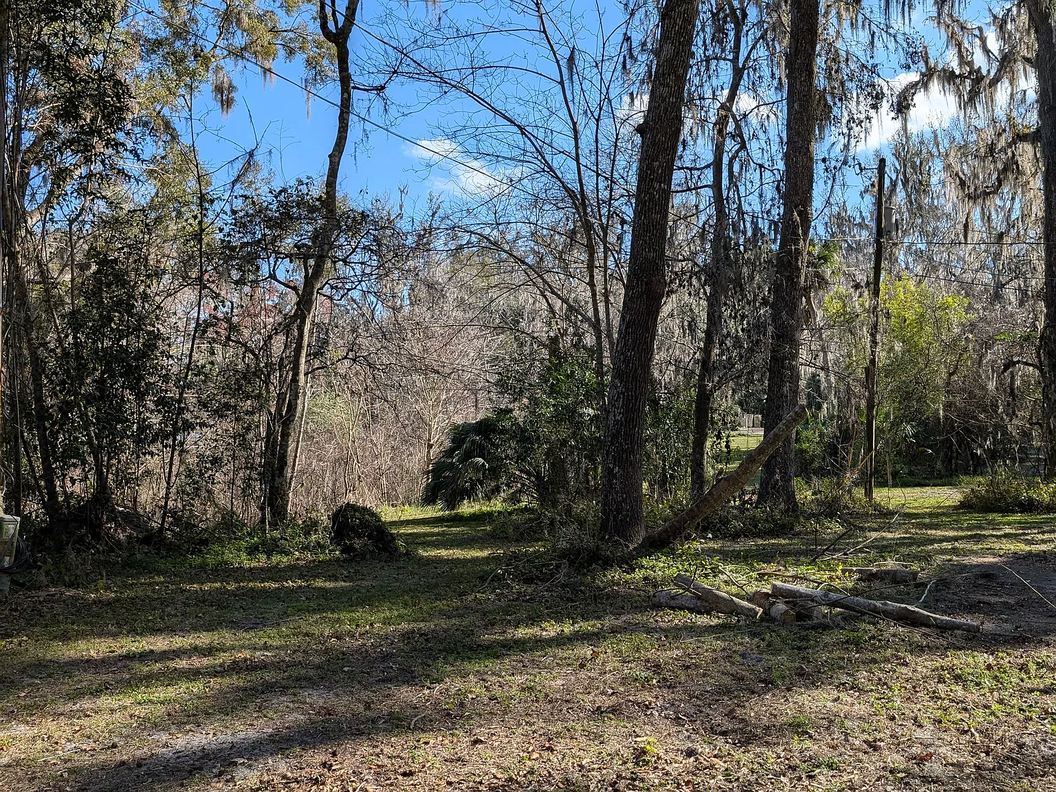 1 bed, 600 sqft, $800 — Photo 2