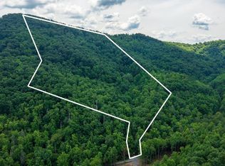 Yellow Springs Rd, Cosby, TN 37722