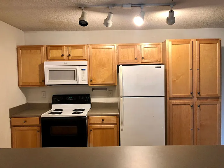 701 Harts Cove Way — Photo 27