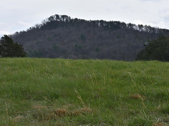 4th image of 8 Dayne Dr #8