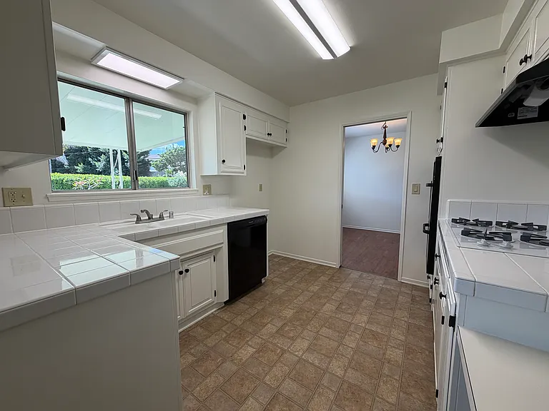 545 Cycod Pl — Photo 15