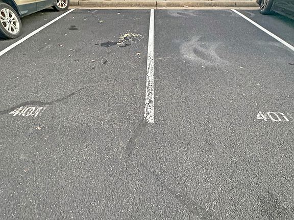4th image of 401 Hamilton Ct