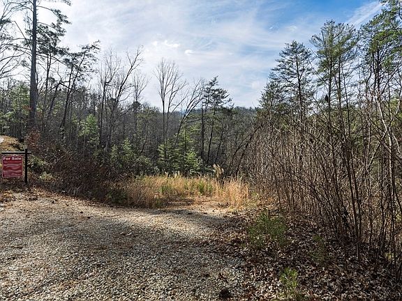 5th image of 84 Spiva Cove Mountain Trl