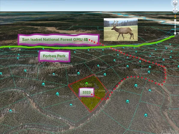 3323 Purnell Lane, Fort Garland, CO 81133