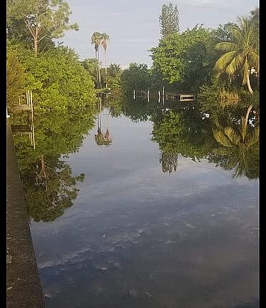 2nd image of 1305 NE 3rd Ter