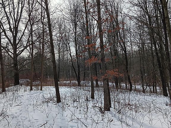 2nd image of Secluded Acres Dr