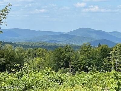 L1.1 Davignon Road, Corinth, NY, 12822