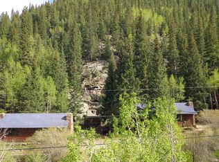 104 W Chicago Creek Rd, Idaho Springs, CO 80452