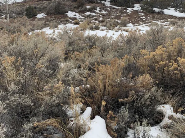 30 Lara Pl, Gypsum, CO 81637