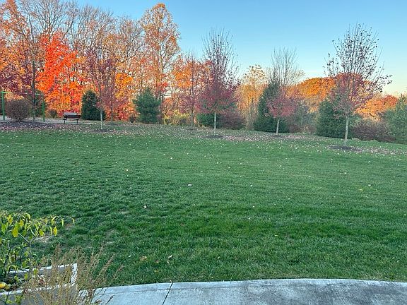 Big Backyard