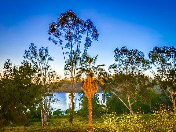 View everyday year round.