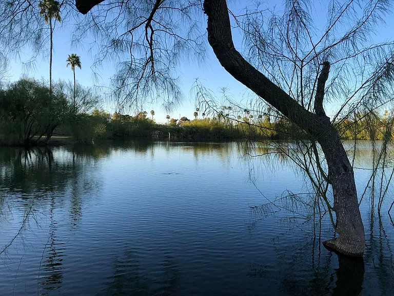 view on retention pond from condo complex