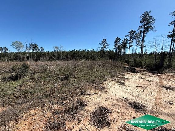 5th image of 0 White Rd