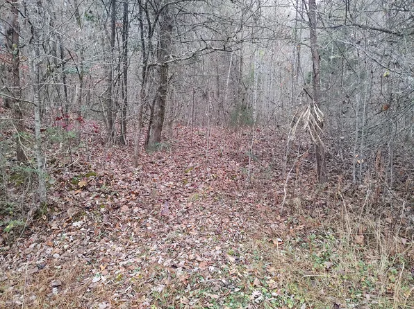 1940 Middle Way, Cosby, TN 37722