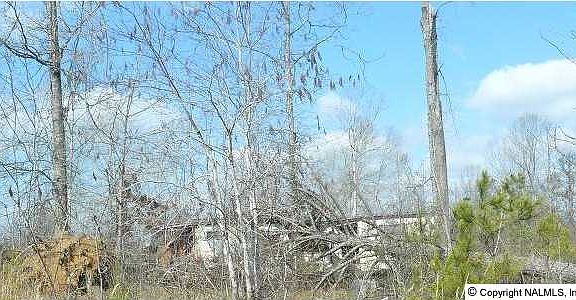 4th image of 272 Parkwood Ln