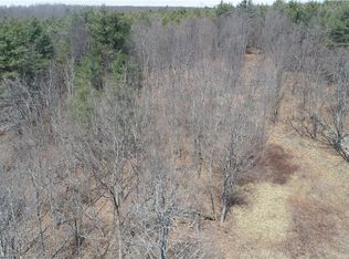 0 Dunbar Hollow Rd, Clarksville, NY 12041