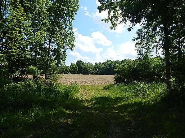 2512 Nineteen Mile Rd, Tekonsha, MI 49092