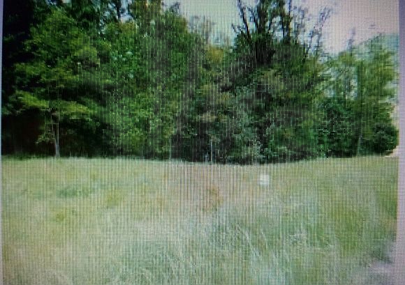 2nd image of Roan Springs Lane Private Dr Lot 1