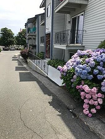 1st image of 1171 Nantasket Ave APT 2