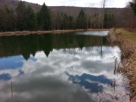 main pond