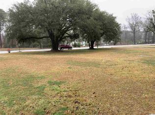 LOT Lot 45 Highway 41/51, Hemingway, SC 29554