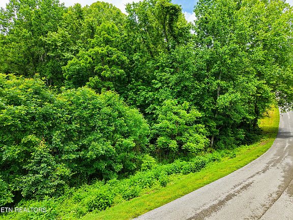 3rd image of 0 Mountain Perkins Ln