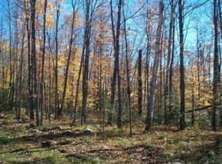 Three Ten Rd LOT 37A, Mercer, WI 54547