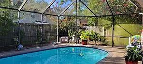 235 Rustic Oaks Dr Photo 1