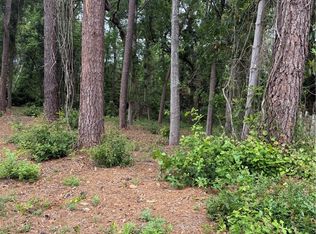 134 Palmera Ln, Brunswick, GA 31525