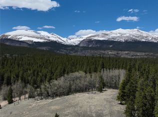 422 Rollies Trail Rd, Alma, CO 80420