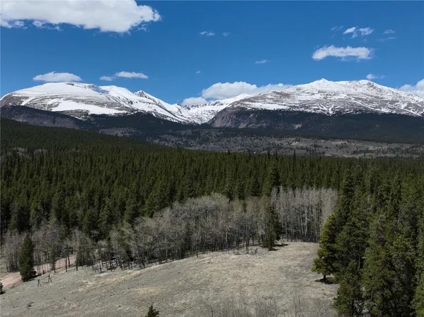 422 Rollies Trail Rd, Alma, CO 80420