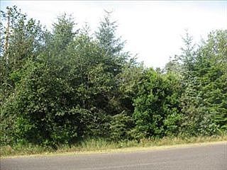 1st image of 248 Duck Lake Dr NE