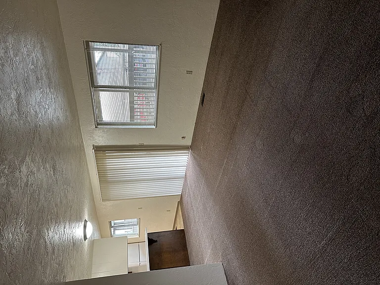 The Woodlands — Photo 37