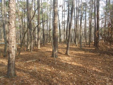 5016 Autumn Trail, Grovetown, GA, 30813