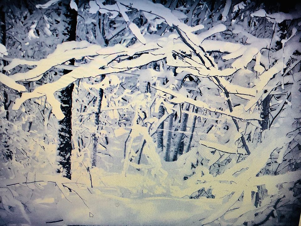 1st image of 5528 Jones Mill Dr